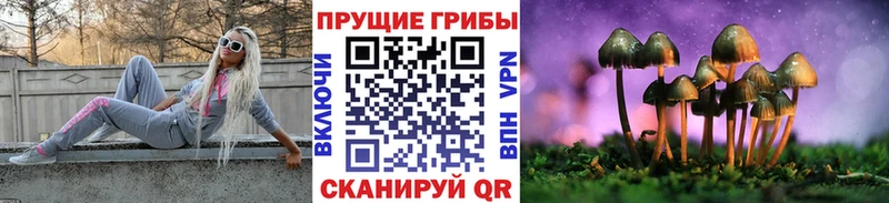 купить  сайты  Ермолино  Псилоцибиновые грибы ЛСД 